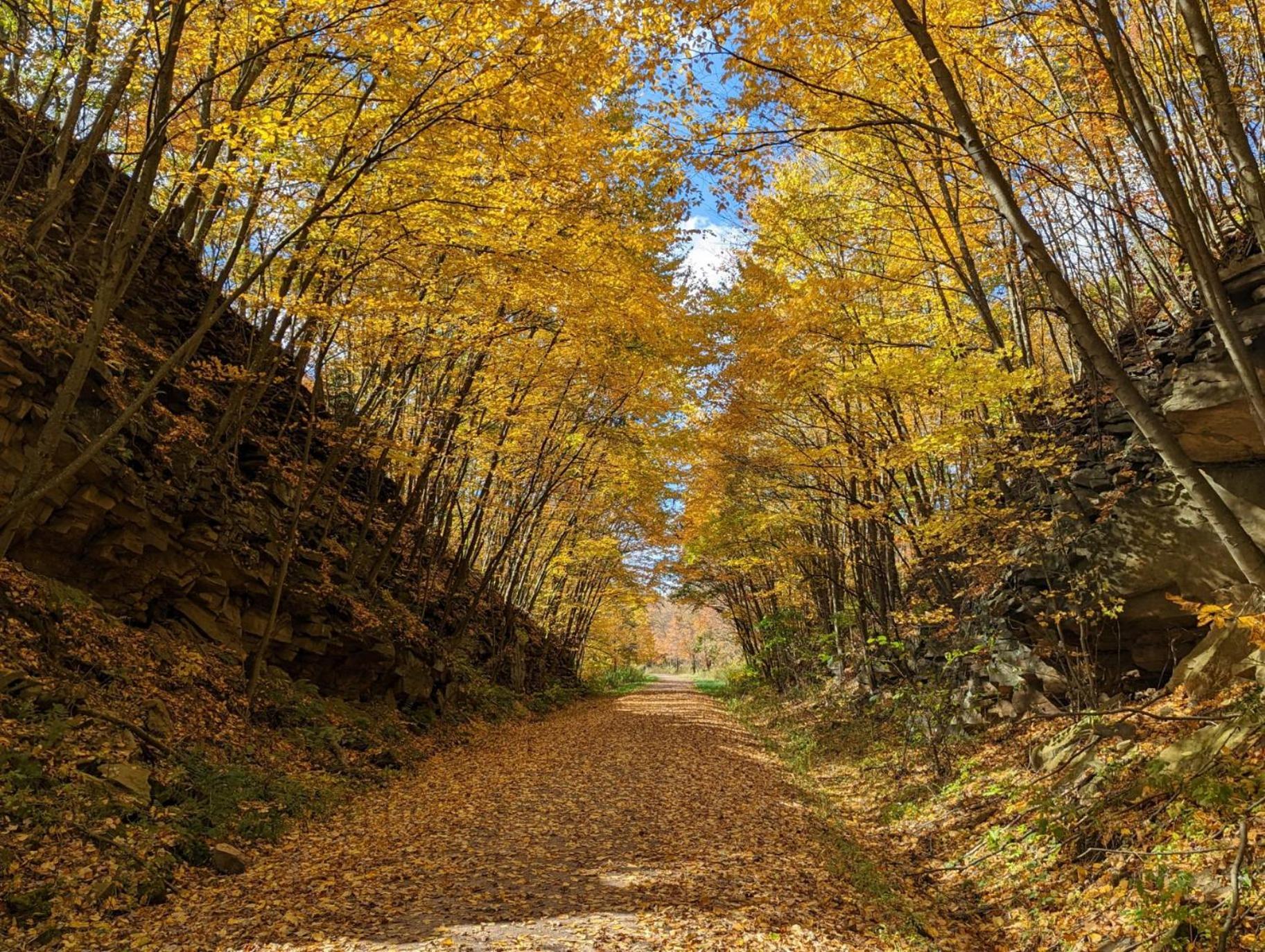 Stay In Ohiopyle Near Gap Trail, Restaurants, & The Fallls Dış mekan fotoğraf